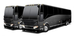 Luxury Charter Busses