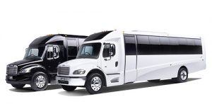 Luxury Part Busses